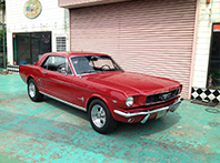 ‘66  Mustang